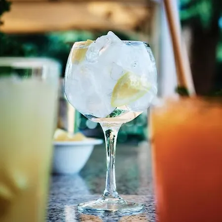 酒店 艾雅科尔多瓦酒店 科爾多瓦