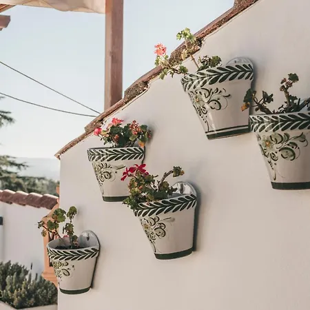 Отель Crisol Jardines De 4*
